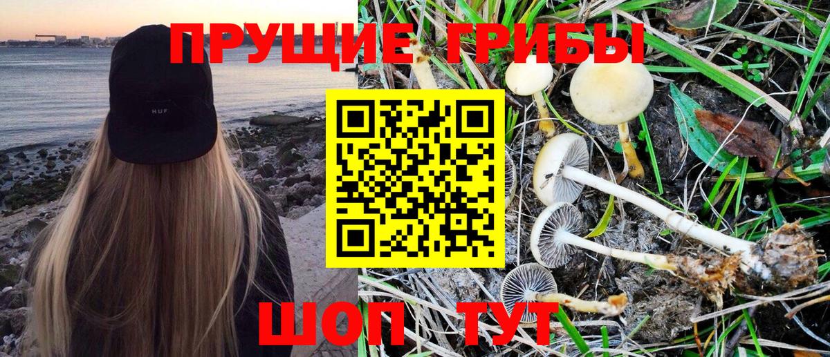 Галлюциногенные грибы MAGIC MUSHROOMS Солнечногорск